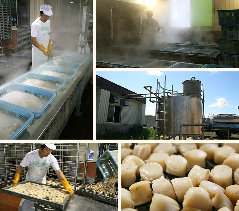 ホタテ貝柱のボイル → 煮汁の回収風景