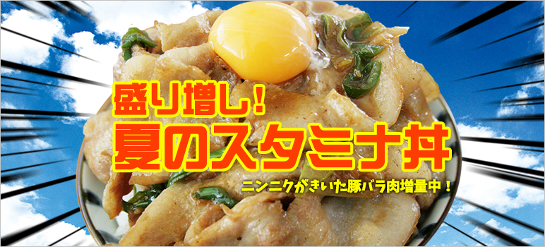 盛り増し夏のスタミナ丼